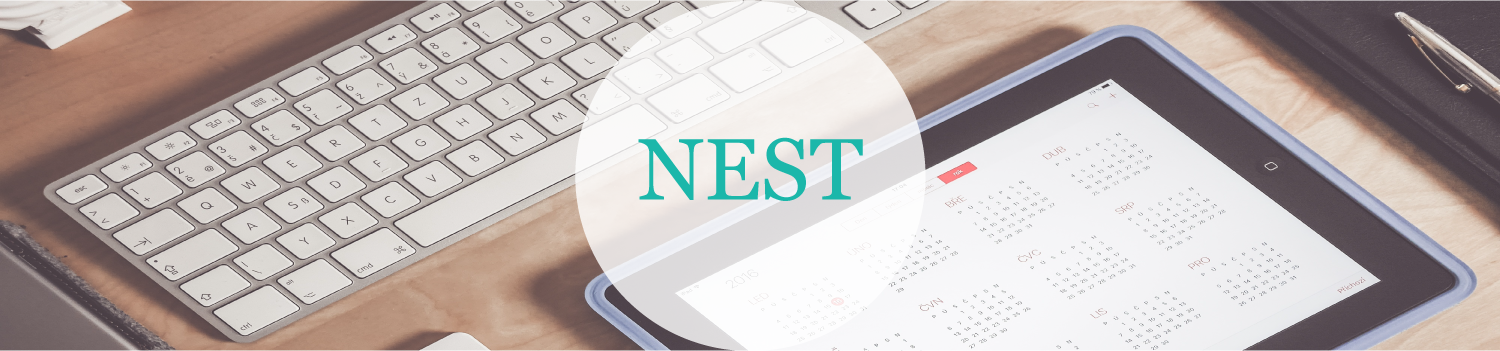 NEST Management Consultancy Logo Banner